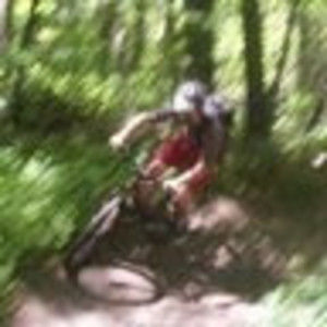 Meet your Posher, Billy